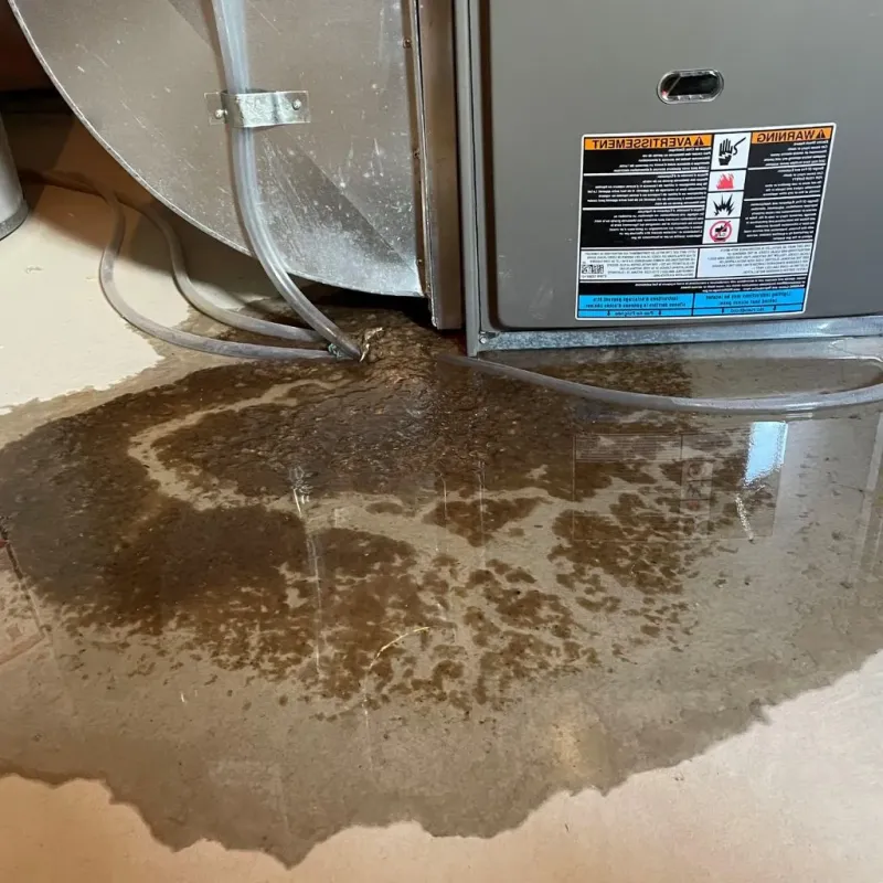 Pipe Burst and Leak Restoration in Williams County, OH