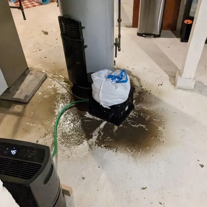 Sewage Backup Cleanup Service in Williams County, OH